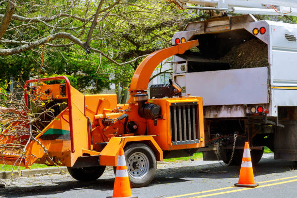 Reliable Moundridge, KS Tree Removal Solutions