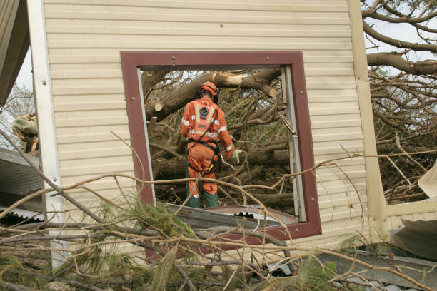 How Our Tree Care Process Works  in  Moundridge, KS